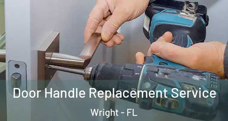  Door Handle Replacement Service Wright - FL