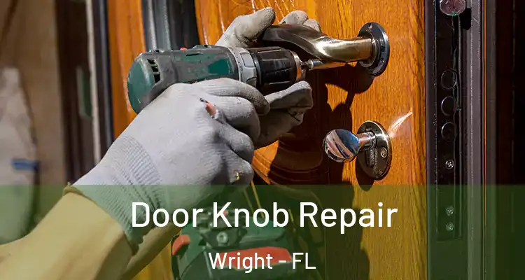  Door Knob Repair Wright - FL
