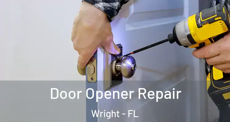  Door Opener Repair Wright - FL