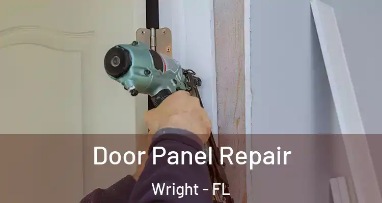  Door Panel Repair Wright - FL
