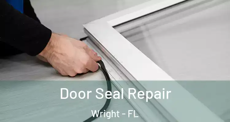  Door Seal Repair Wright - FL