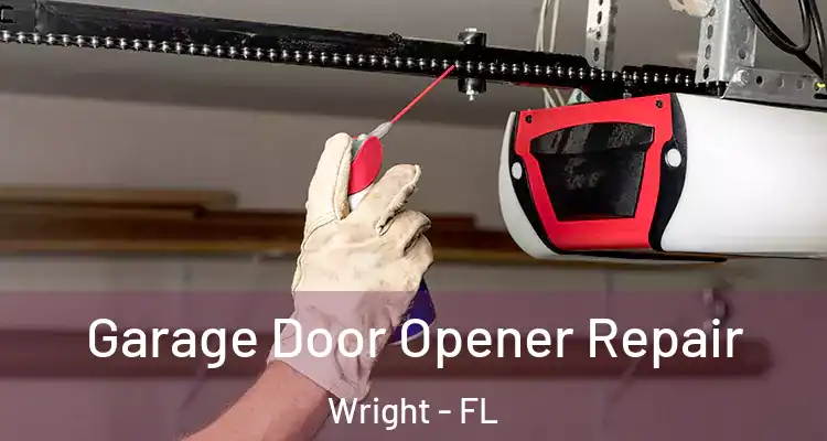  Garage Door Opener Repair Wright - FL