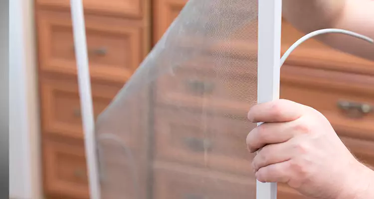 Privacy Mesh Screen Door Installation in Wright, FL
