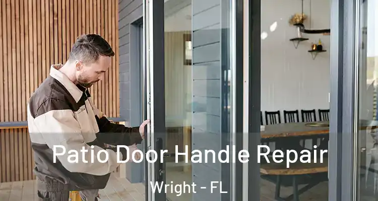  Patio Door Handle Repair Wright - FL